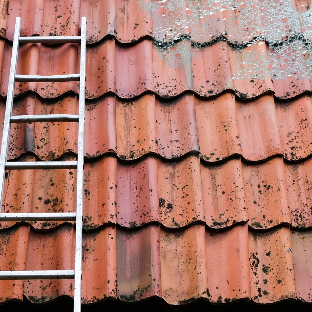 Restore your roof to it's original beauty