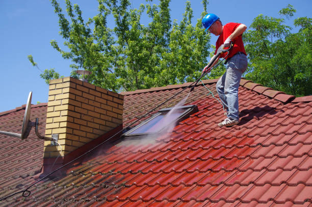 Roof Cleaning | Your Local Trusted Home Services | New Zealand