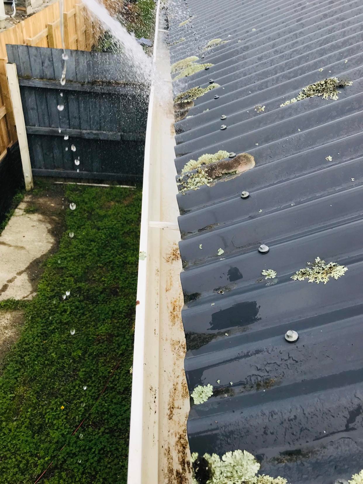 Gutter Cleaning Wellington After Image