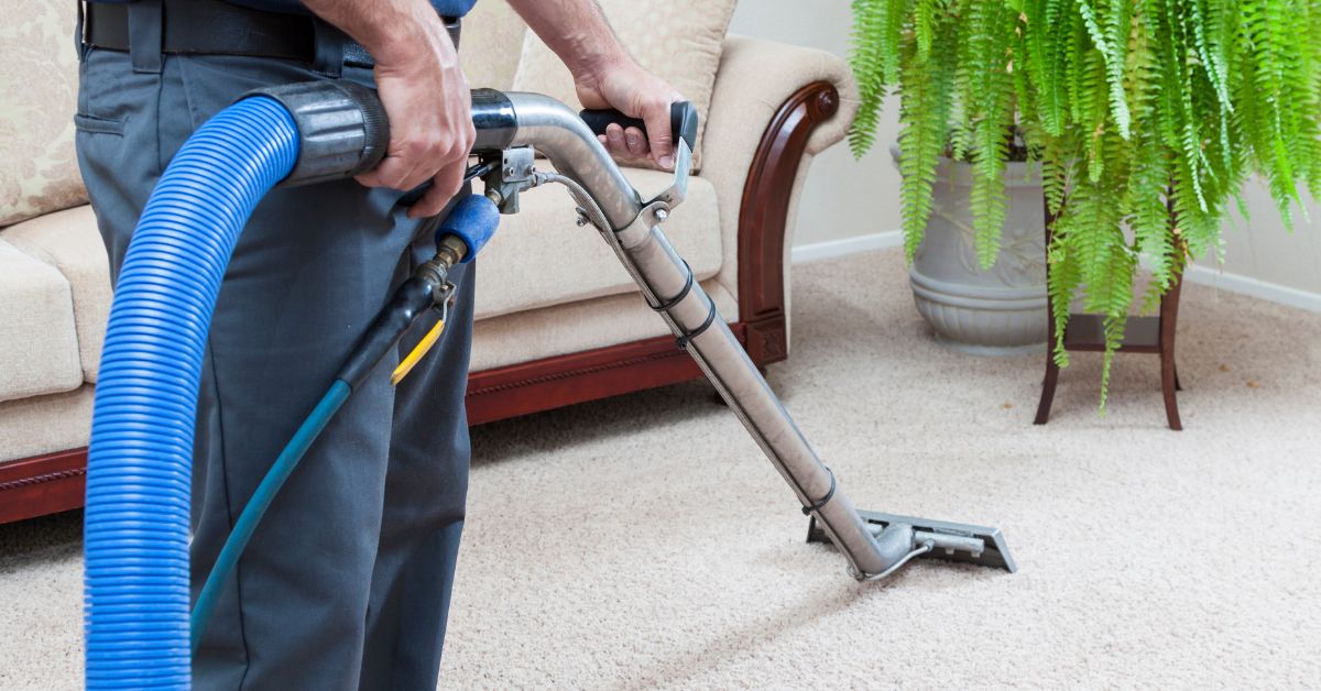 your-local-carpet-cleaning (2)